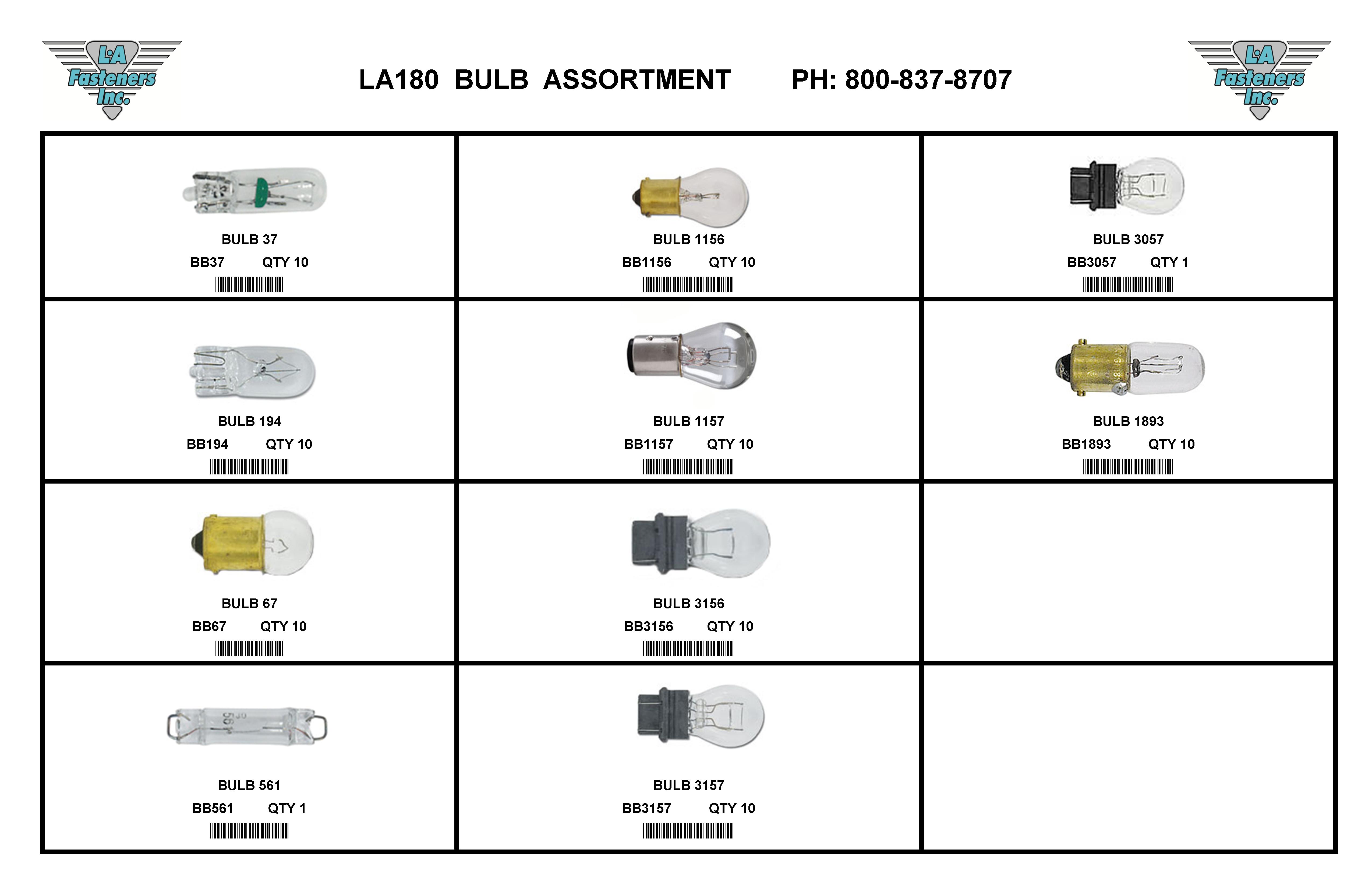 ASSORTMENT BULB
